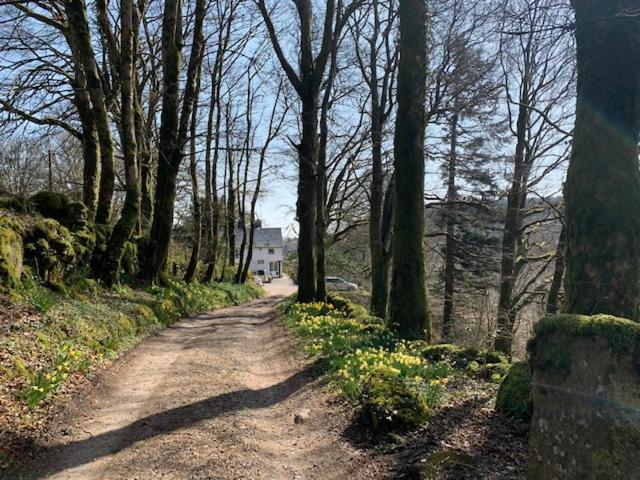 Postbridge Lydgate House Hotel מראה חיצוני תמונה